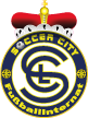 Soccer City Logo